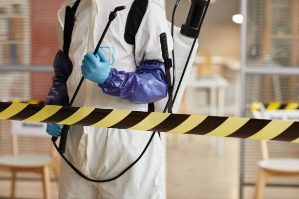 Professional Sewage Cleanup technician working in Rock Island, WA